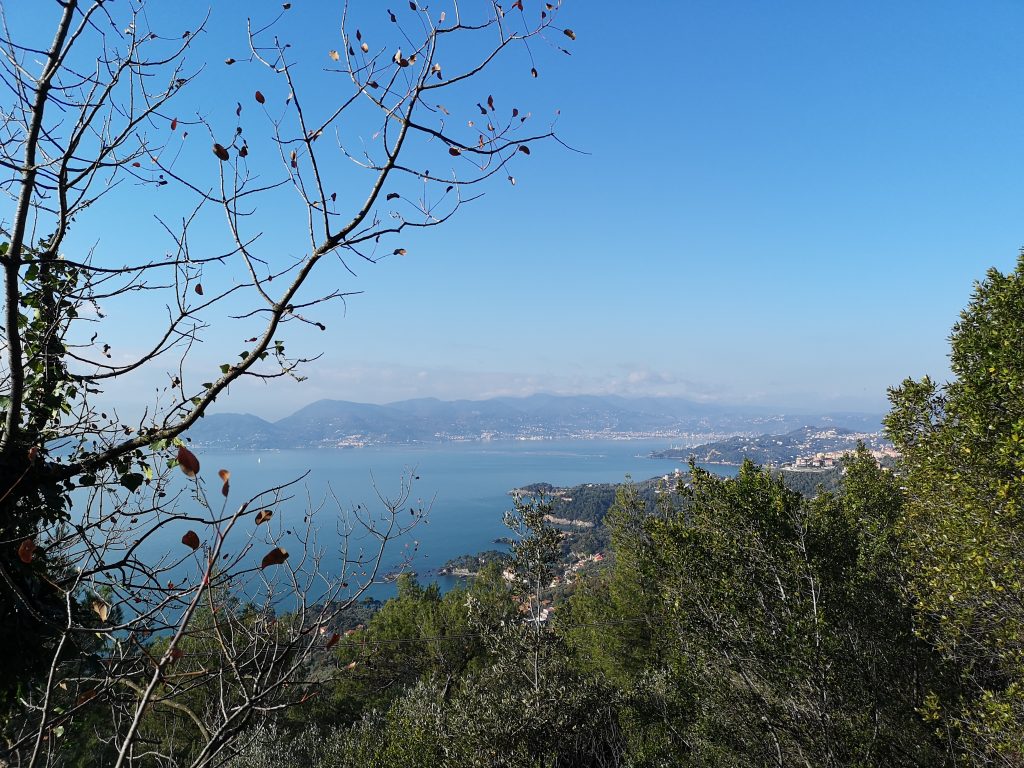 Aussicht auf das Meer und die Küste Liguriens